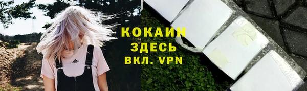 прущие грибы Верхнеуральск