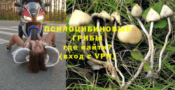 а пвп мука Верея