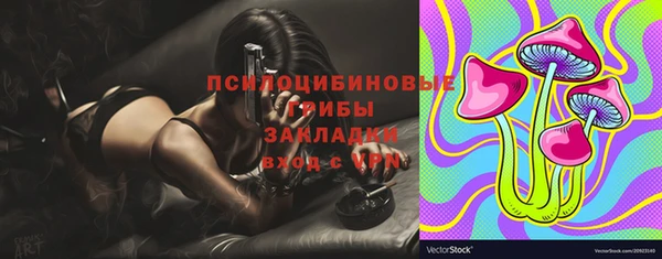 прущие грибы Верхнеуральск