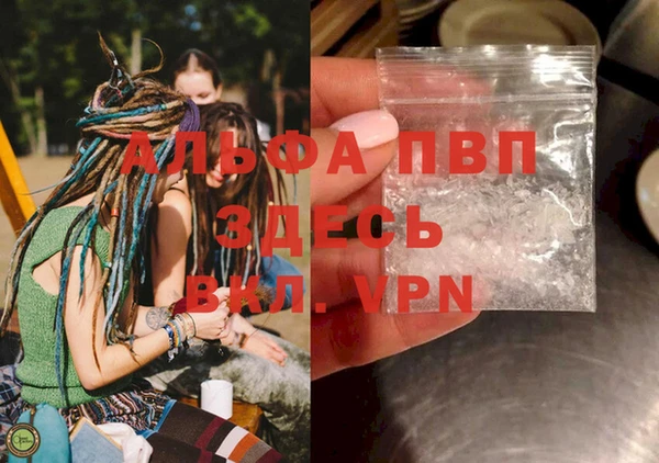 прущие грибы Верхнеуральск